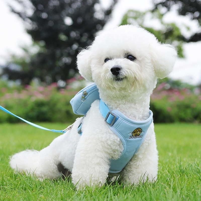 Peitoral para Cães com Guia Ajustável e Bolsa Porta-objetos Removível - P/M-Y12 em Oferta na Shopee