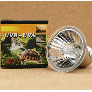 50/75W UVA + Lâmpada De Aquecimento De Répteis UVB Tartaruga Para Aquário E27 Base De 110V em Oferta na Shopee