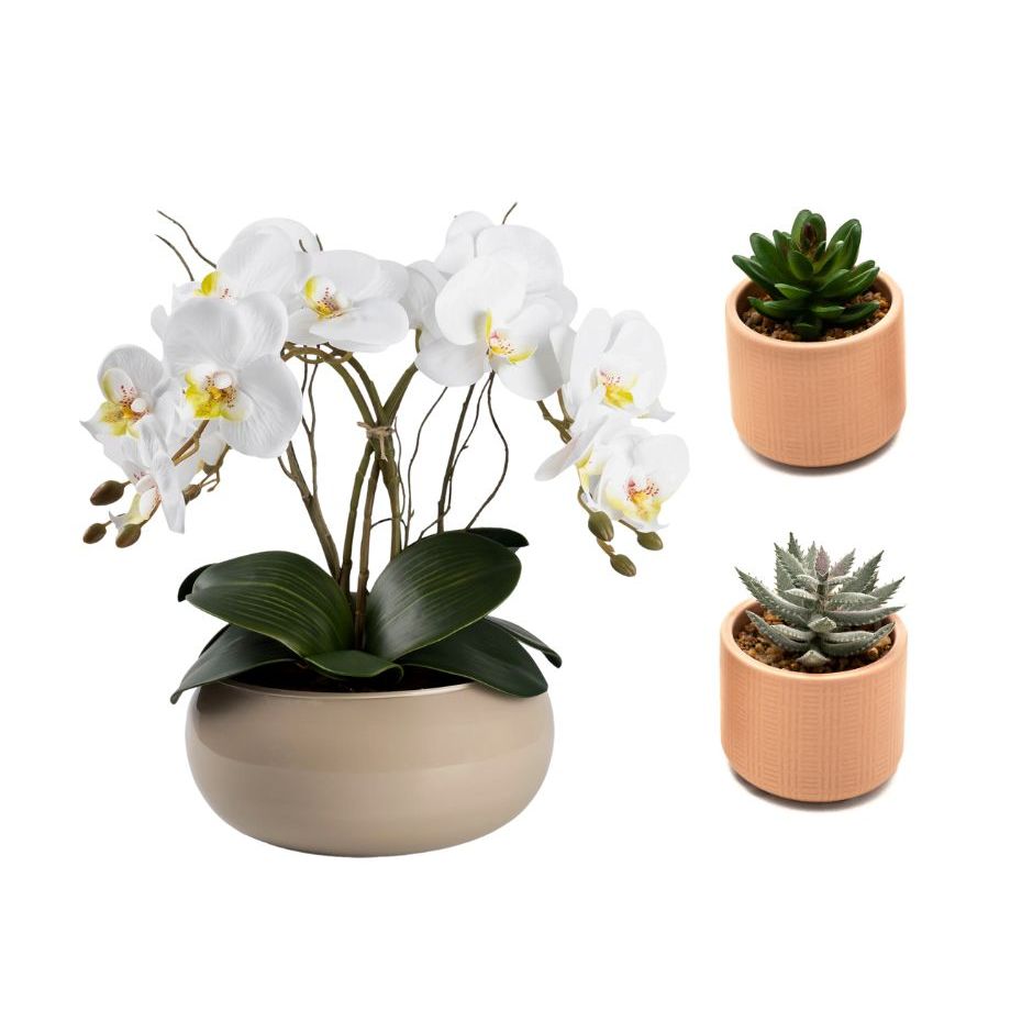 Kit Arranjo Orquídea Silicone Vaso Vidro Nude + Dupla Mini Vaso Suculenta Vaso Cerâmica Decoração Sala Casa