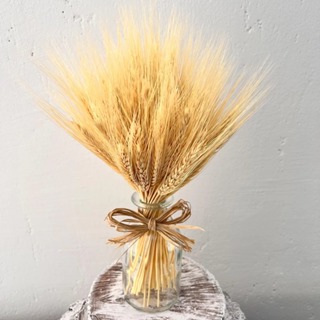 Kit 25 Hastes De Trigo Seco Médio 40cm Decoração Arranjos Decoração linda 2026 em Oferta na Shopee