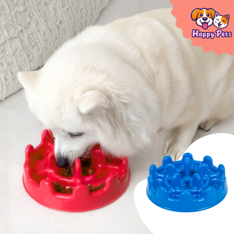 Comedouro Lento Mini Pet Fit Da Pet Games Para Cão Porte Pequeno Divertido Saudável Para Cachorro