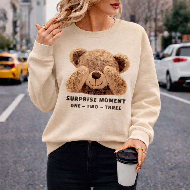MOLETOM FEMININO BLUSA DE FRIO ESTILO SUÉTER CASACO FLANELADO 100% ALGODÃO URSINHO FOFO VÁRIAS CORES LANÇAMENTO