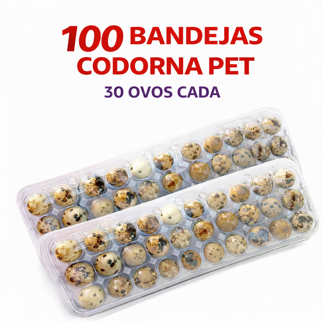Embalagens para Ovos de Codorna 30 Ovos Cartela Plástica Transparente Kit 100 Unidades