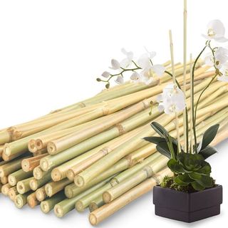 Estacas de Bambu Natural Variadas (20cm a 1m) - Kit Sustentável para Artesanato e Jardim