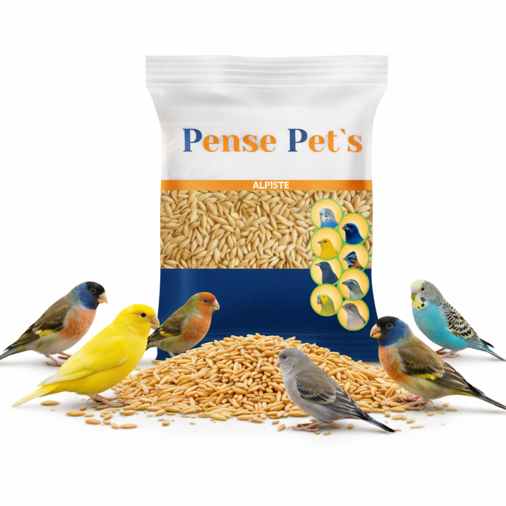 Alpiste Canadense para Pássaros - 25kg em Oferta na Shopee