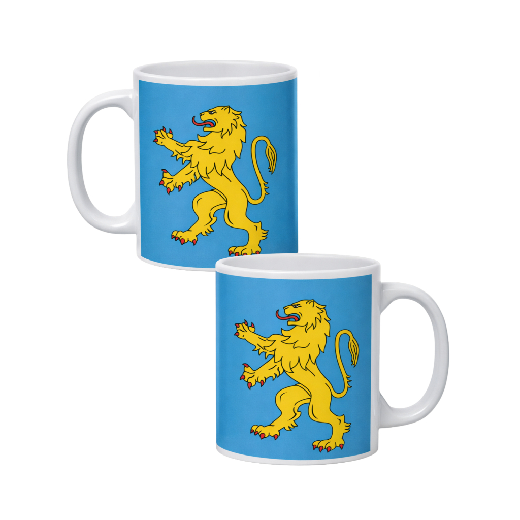 Caneca The Big Bang Theory - Bandeira do Apartamento de Sheldon Cooper - 325ml