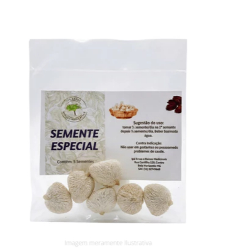 Semente Especial - Pacote com 15 Sementes NI nozes de noz
