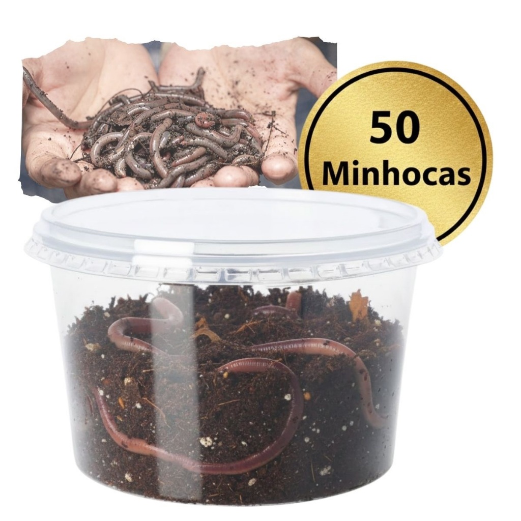 Kit de 20 a 50 Minhocas Califórnias: Transforme seu Lixo Orgânico em Húmus de Alta Qualidade em Oferta na Shopee