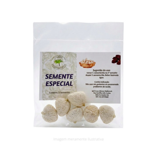 Noz do brasil - Pacote com 5 Sementes de nozes natural em Oferta na Shopee