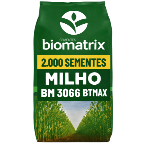Semente de milho 3066 RESISTENTE - Milho verde e silagem - 2.000 sementes / 450g
