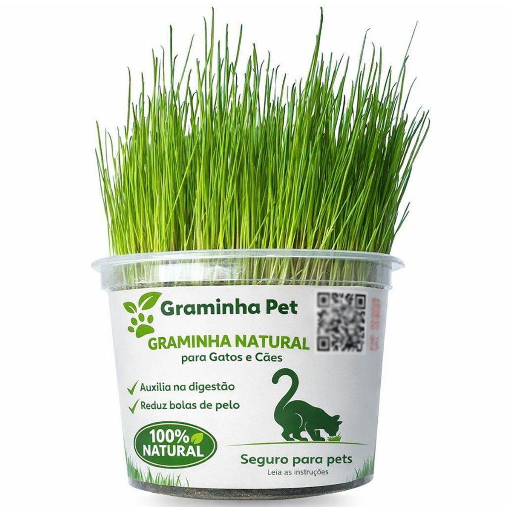 01 Graminha para Gatos e Cães Ajuda Pet na digestão e Elimina Bolas de Pelos em Oferta na Shopee