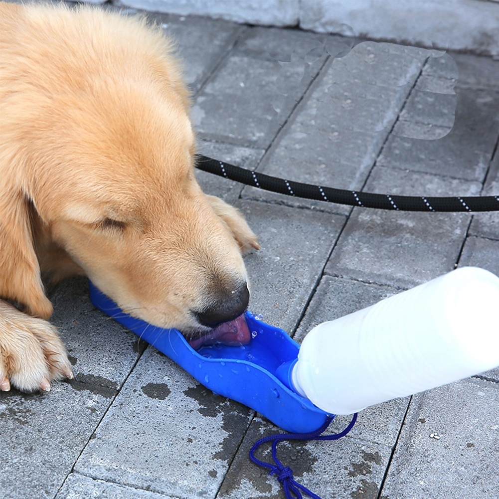 Bebedouro Garrada Portátil Pet Garrafa de Água para Cachorro e Gato Passeio Viagem