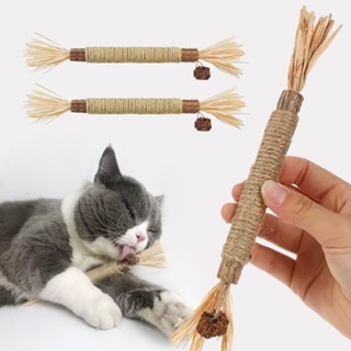 Brinquedo para Gatos 2 Unidades Madeira Natural Bastão Alívio do Estresse Estimula Atividade em Oferta na Shopee