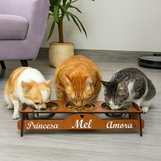 Comedouro Bebedouro PERSONALIZADO com TAMPAS Triplo Elevado Cães/Gatos Tigelas De Inox