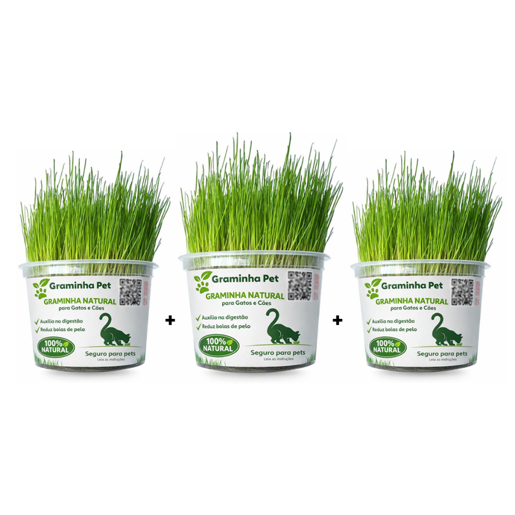 Combo 3 Grama Graminha para Gatos e Cães Ajuda Elimina Bolas de Pelos e Ajuda na Digestão Pet Feliz