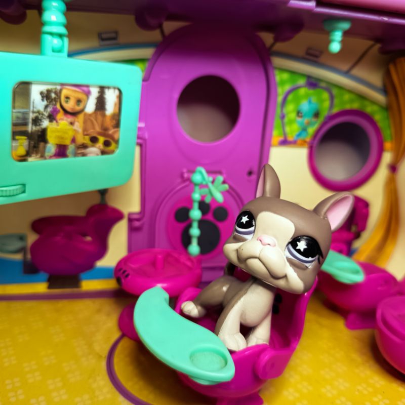 Littlest Pet Shop Boston terrier