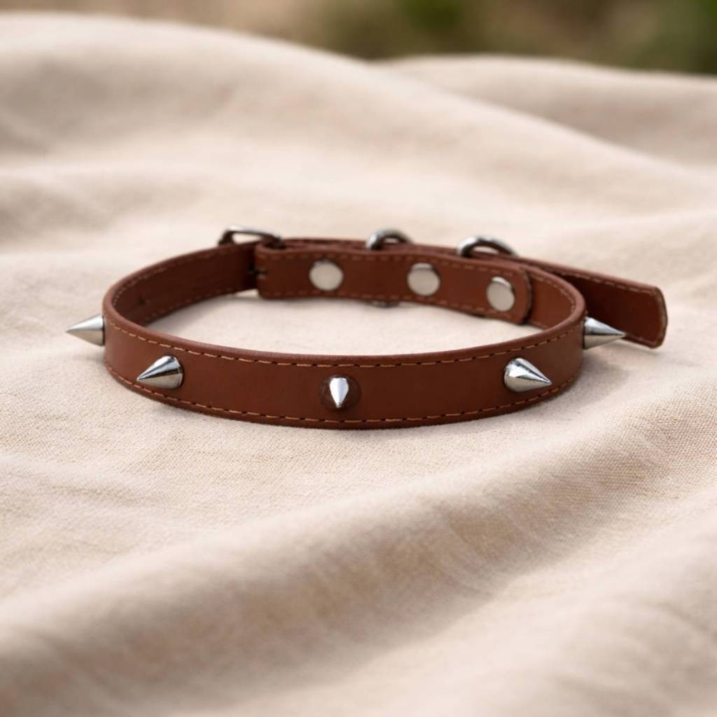 Coleira Canina Couro Leve Porte Médio Pequeno Prática Estilo Premium Produto Pug Raça Spikes