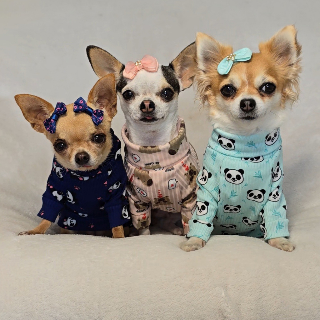 Roupa pet camiseta para cachorro e gato malha canelada estampada