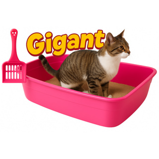 Caixa Para Areia De Gato Gigante Bandeja Areia Gato Casinha Sanitário Gatos em Oferta na Shopee