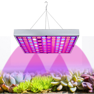 Led Grow Full Spectrum 200w 110v 220v Lâmpada Cultivo Indoor Placa Quântica Led Cultivo de Mudas em Oferta na Shopee