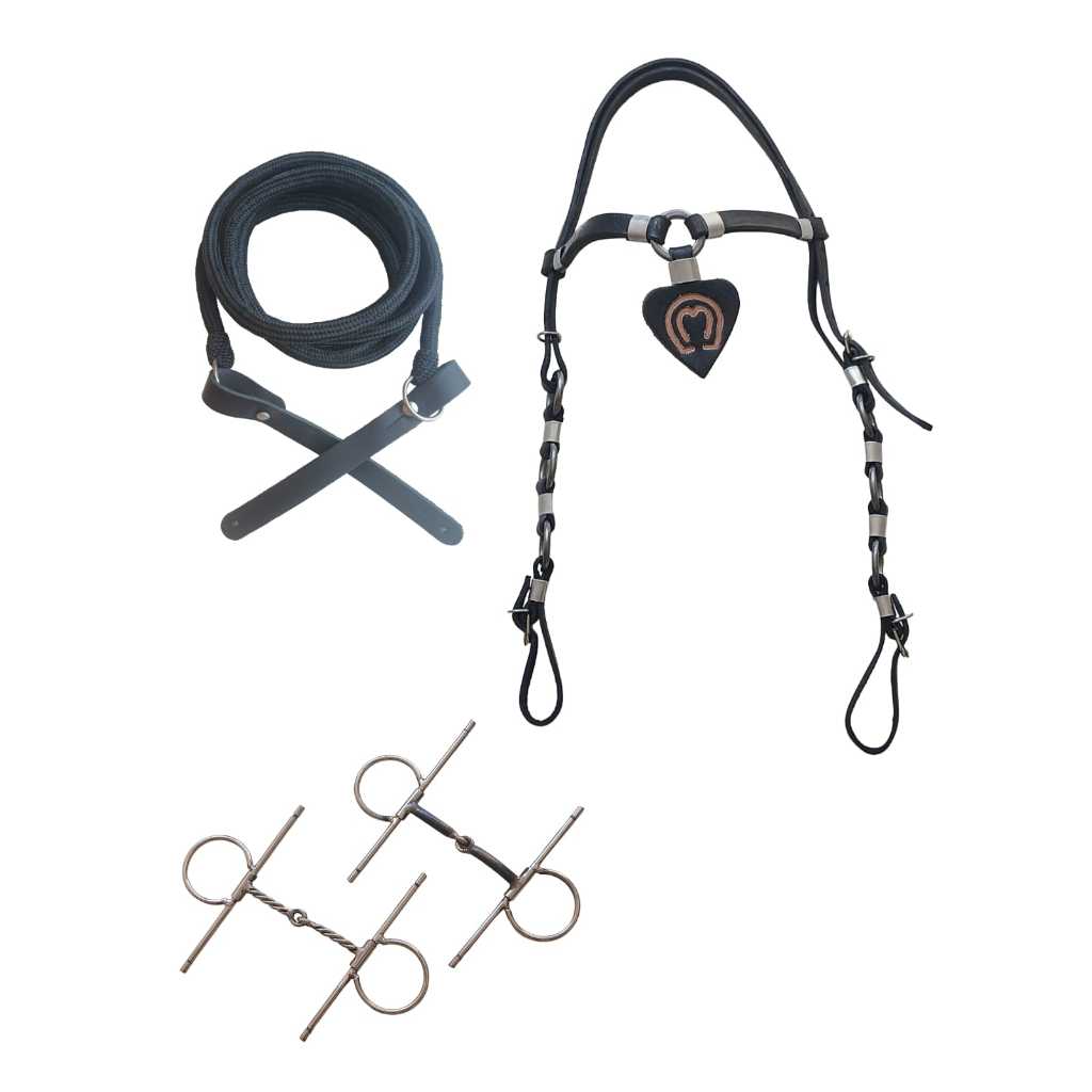 Kit Melhor Cabeçada+Rédea+2 Bridões Caneta