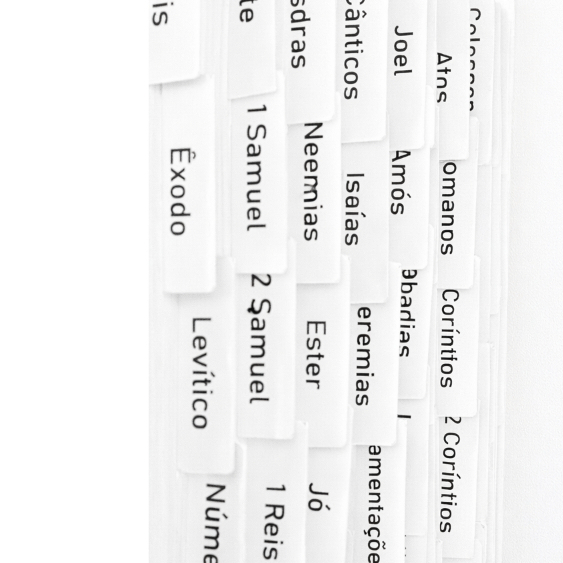 Abas Adesivas para Bíblia Católica - Marcador Índice Para Bíblia  Abas Para Bíblia  - Abas Brancas - Letra Bastão em Oferta na Shopee