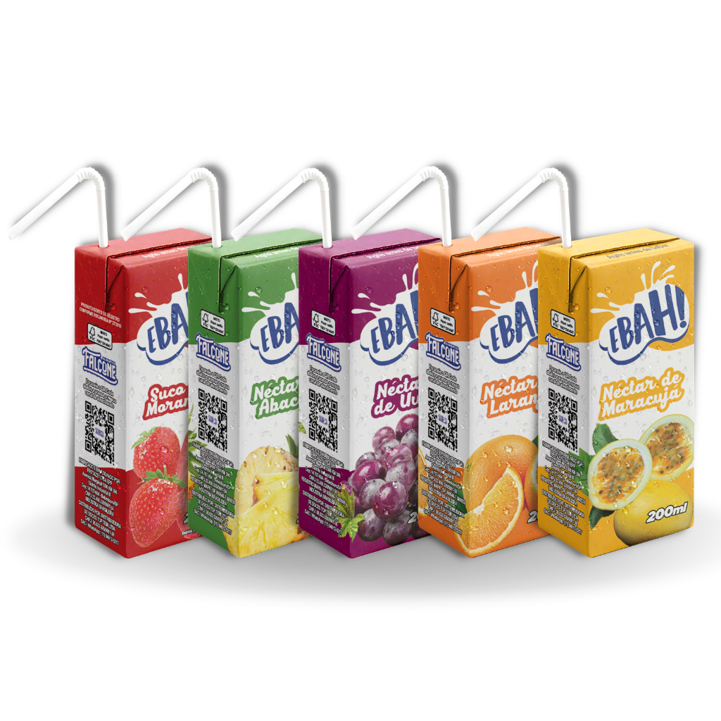 Suco Ebah (Sabores) 27x200ml
