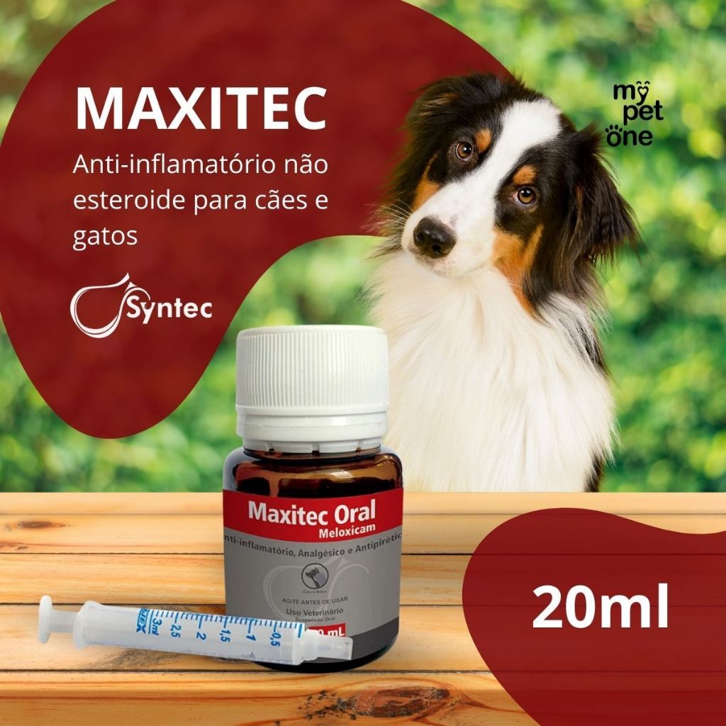 Maxitec Anti-inflamatório Oral Meloxicam 20ml Cães E Gatos - Syntec em Oferta na Shopee