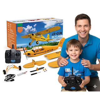 Avião Controle Remoto WLtoys A160 J3 Grande Potente Estável Barato Iniciante Acrobacias Profissional