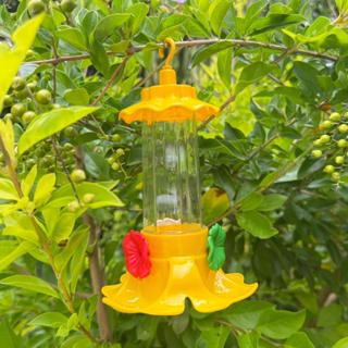 Bebedouro Para Pássaros Livres Beija Flor Passarinho Varanda Área Sacada Refrescante Primavera em Oferta na Shopee
