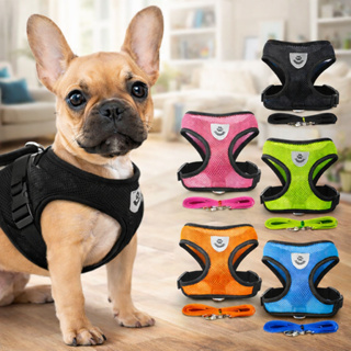 Coleira Peitoral Cães E Gatos Ajustável Com Guia Colete Pet em Oferta na Shopee