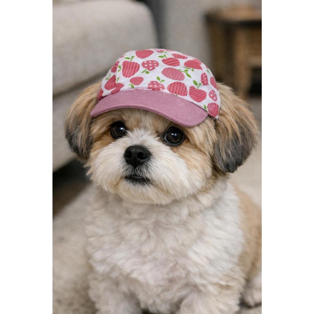 Boné para cachorro com regulagem em Oferta na Shopee