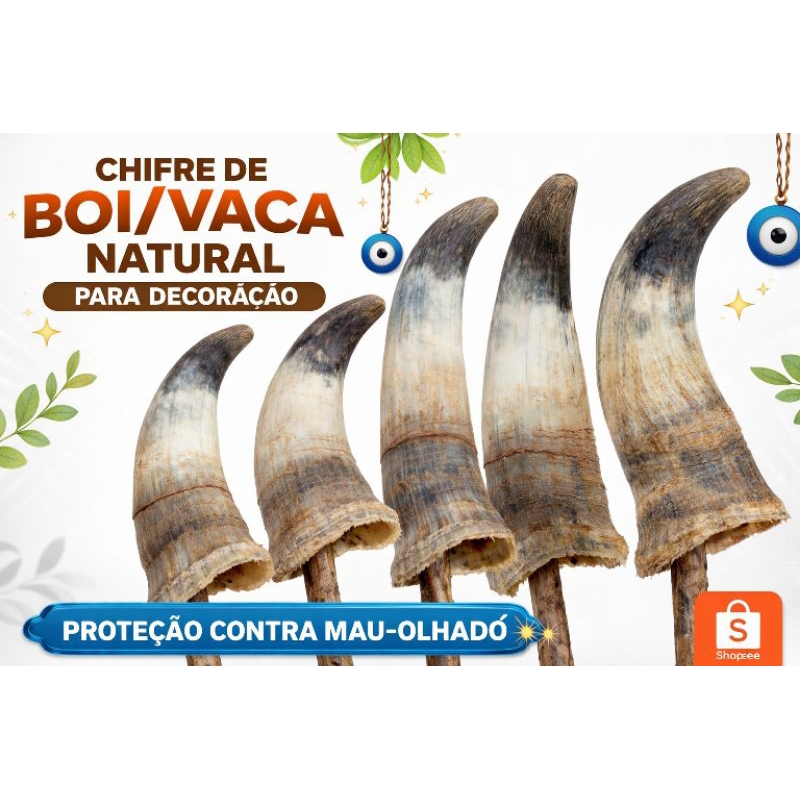 Chifre de Boi/Vaca Natural para Decoração – Amuleto Contra Mau-Olhado