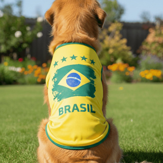 Camiseta Pet Brasil Copa do Mundo Amarela Roupa Cachorro Seleção Futebol Confortável em Oferta na Shopee