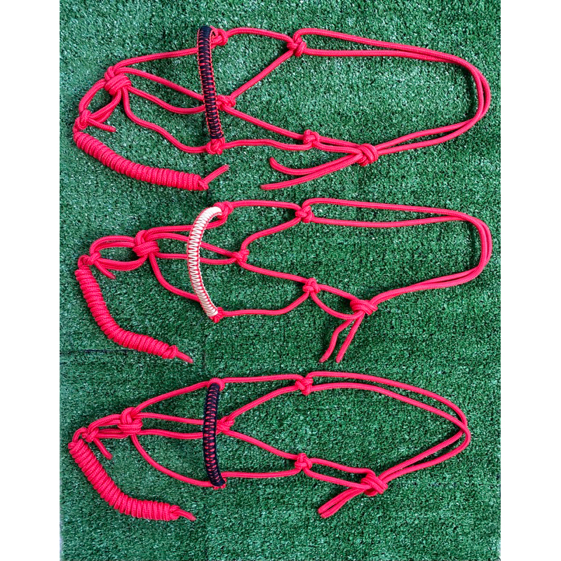 Cabresto 7 nós para cavalo com trança na focinheira. Feito de forma artesanal corda 8mm varias cores