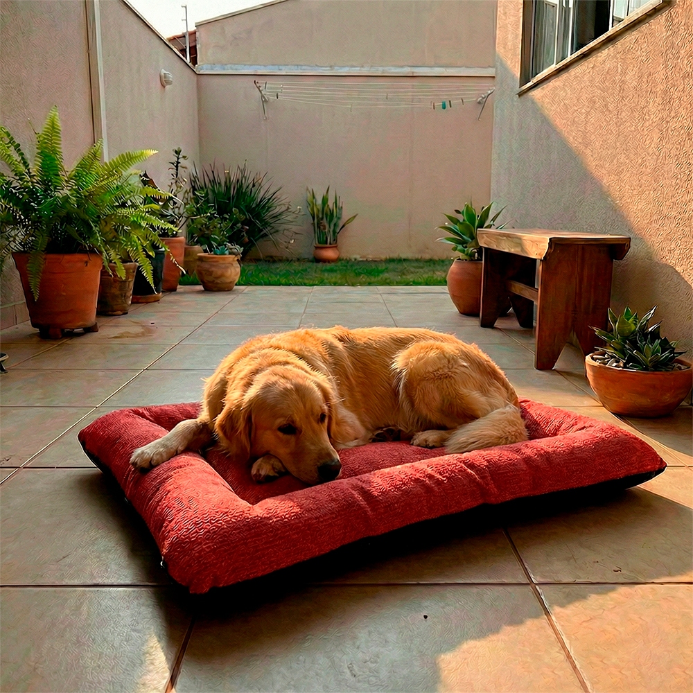 Colchãzinho Colchonete Animais Pet Com Ziper Cachorro e Gato Macio Confortável Oferta