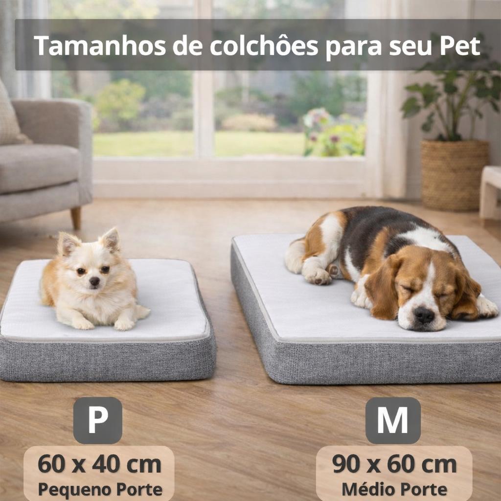 Colchão Ergonômico Pet Ortopédico D18 – Capa Impermeável Branco, Base Grafite, Tamanhos Sob Medida