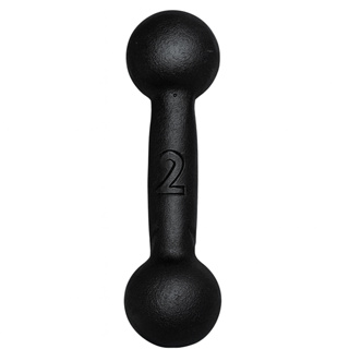 Halter Bola Pintado 2kg Academia Fisioterapia Pilates (unidade) em Oferta na Shopee