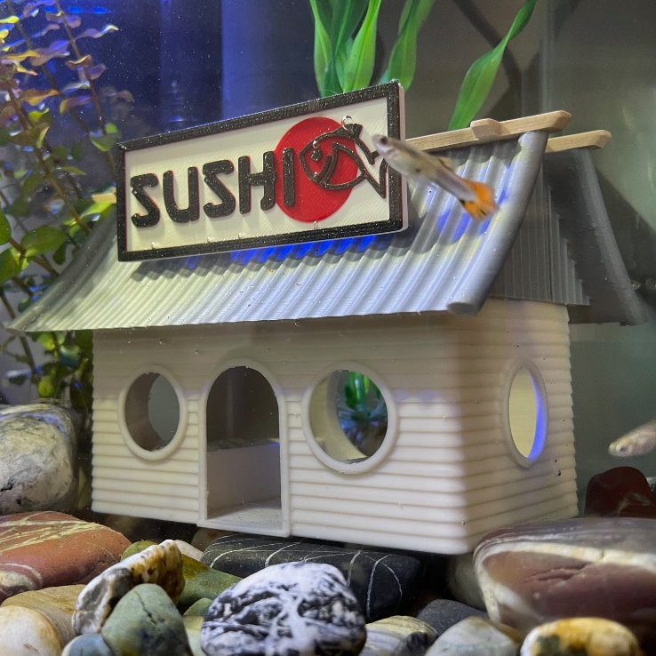 Esconderijo Casa de Shushi Toca Para Peixes Betta Camarão Aquário Aquarismo Decoração em Oferta na Shopee