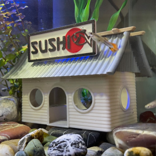 Esconderijo Casa de Shushi Toca Para Peixes Betta Camarão Aquário Aquarismo Decoração em Oferta na Shopee