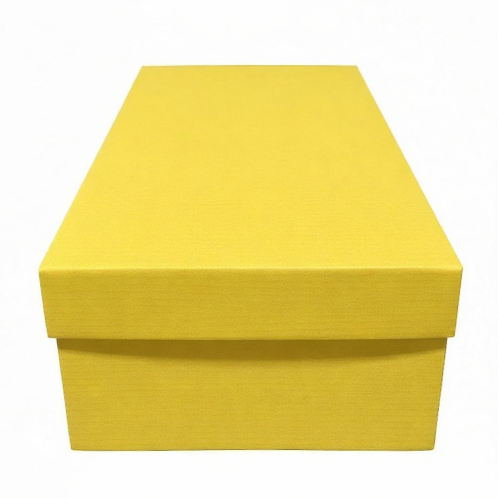 Caixa de Papelão 12x20x32 cm – Apenas a caixa, sem item interno.