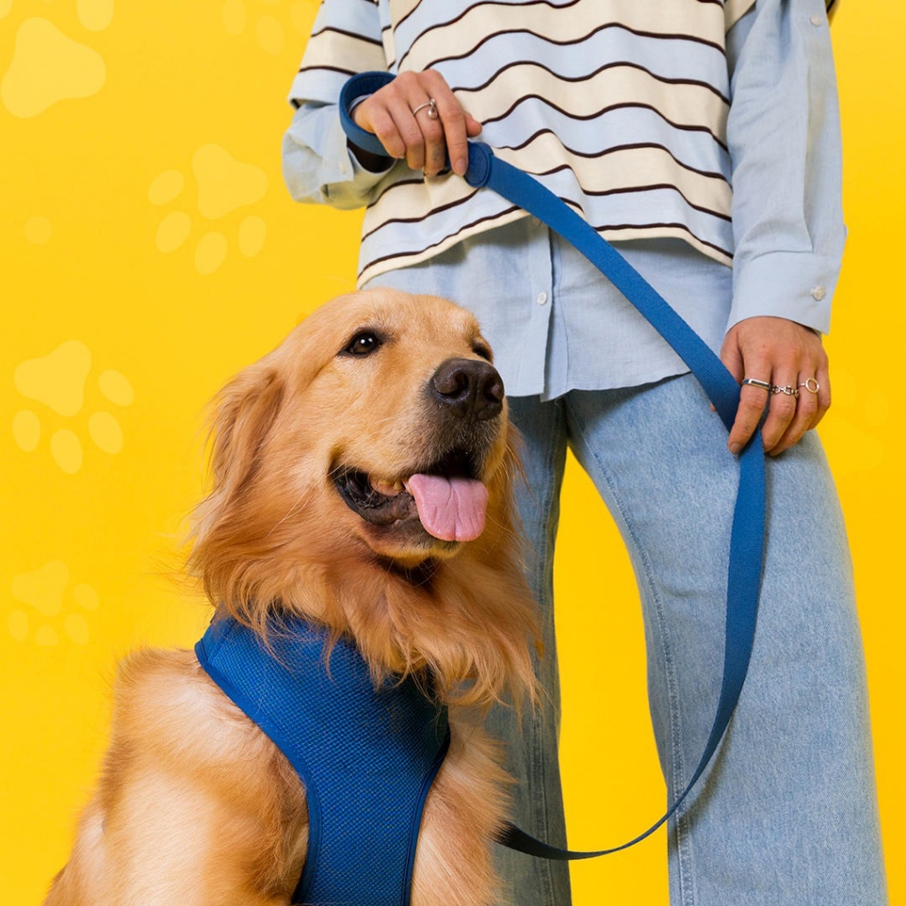 Guia Pet Para Cachorro GoPets Clear em Oferta na Shopee