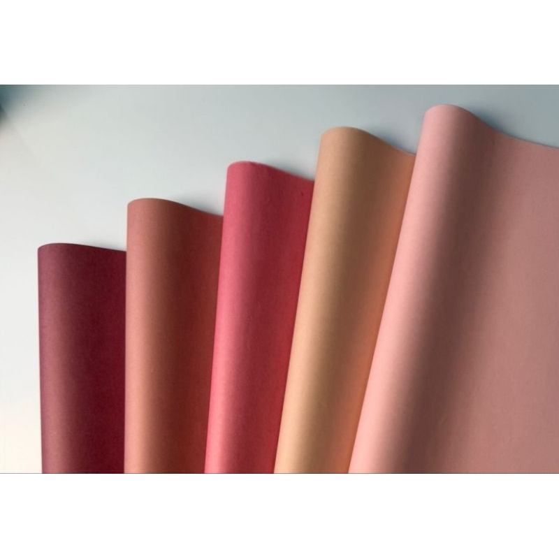 Papel de Seda 5 Tons Degrade Goiaba ,100 Folhas,Sendo 20 folhas de Cada Cor,Embalagem,Papel de Presente, Roco em Oferta na Shopee