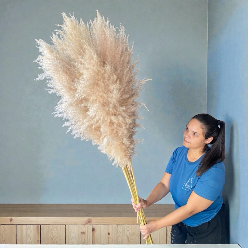 Capim dos Pampas 1,4m Plumas Premium grandes eventos casamentos  recepçã em Oferta na Shopee