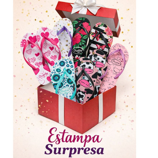 Chinelo Feminino 1 Par – Estampa Surpresa ✨ Modelos Sortidos | Escolha Apenas a Numeração em Oferta na Shopee