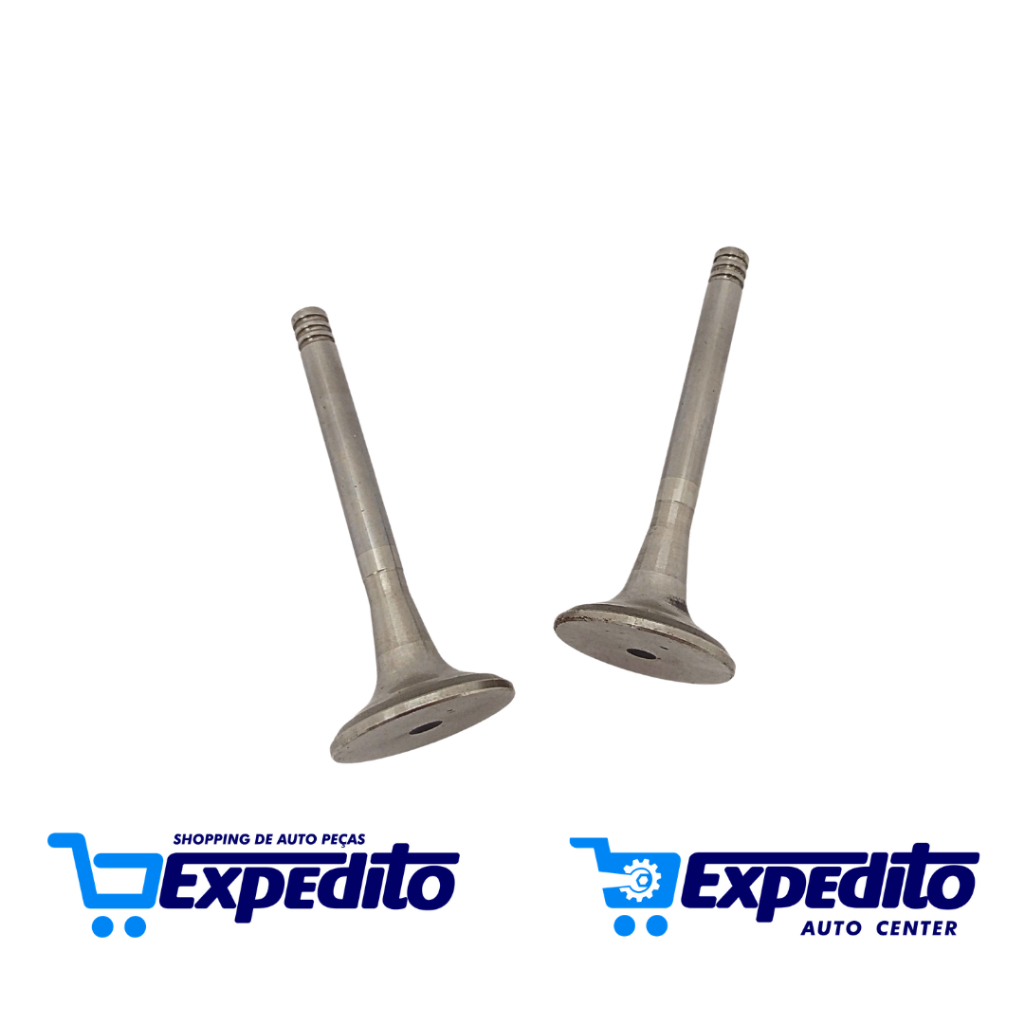 Valvulas De Escape Gol/Pampa/Voyage Eaton