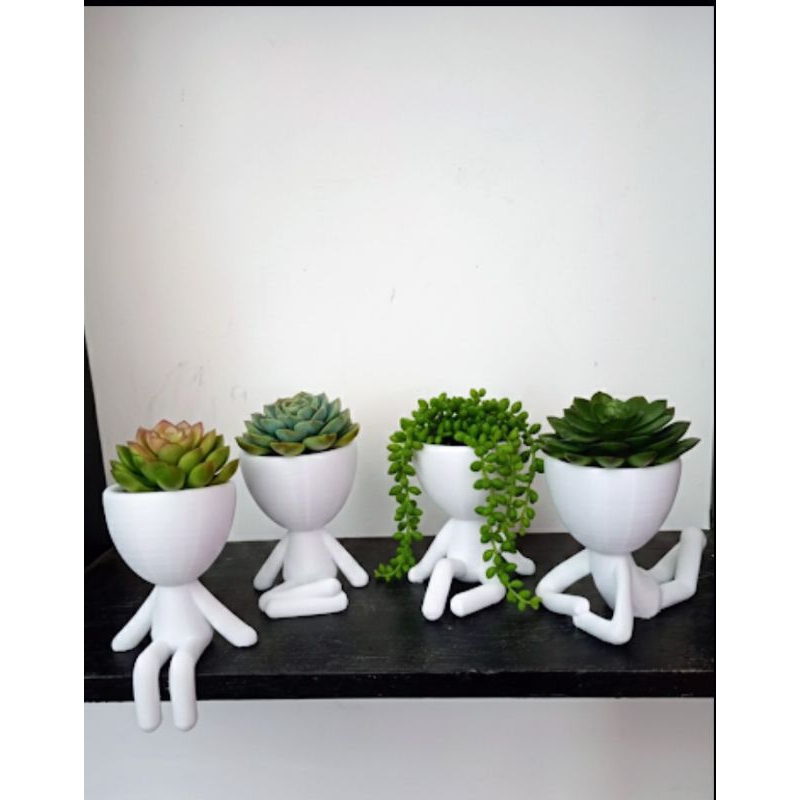 Kit 4 Mini Vasos Decorativos Robert Plant Para Suculenta - Impressão 3D