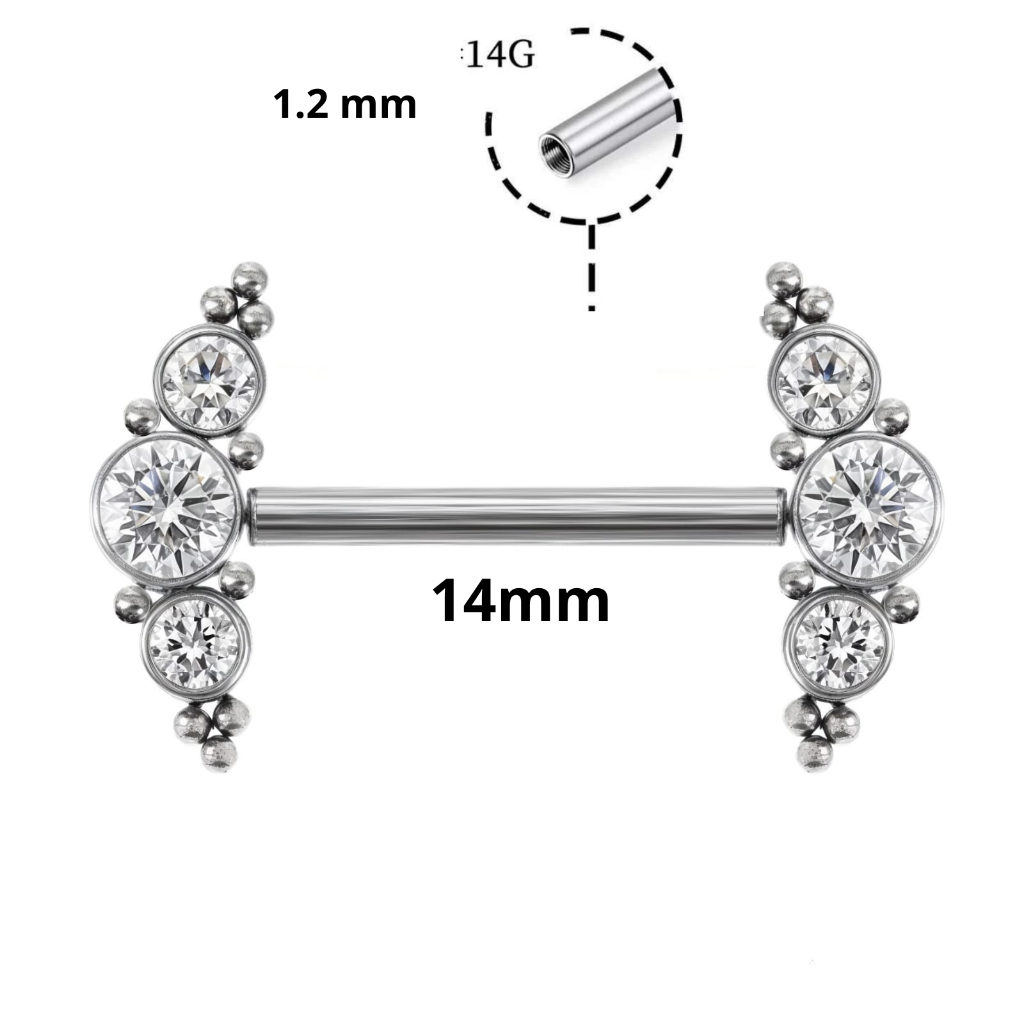 Piercing de Mamilo Aço Inox Piercing Mamilo Rosca Interna com Strass Prata Pedrarias Brilhante
