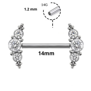 Piercing de Mamilo Aço Inox Piercing Mamilo Rosca Interna com Strass Prata Pedrarias Brilhante