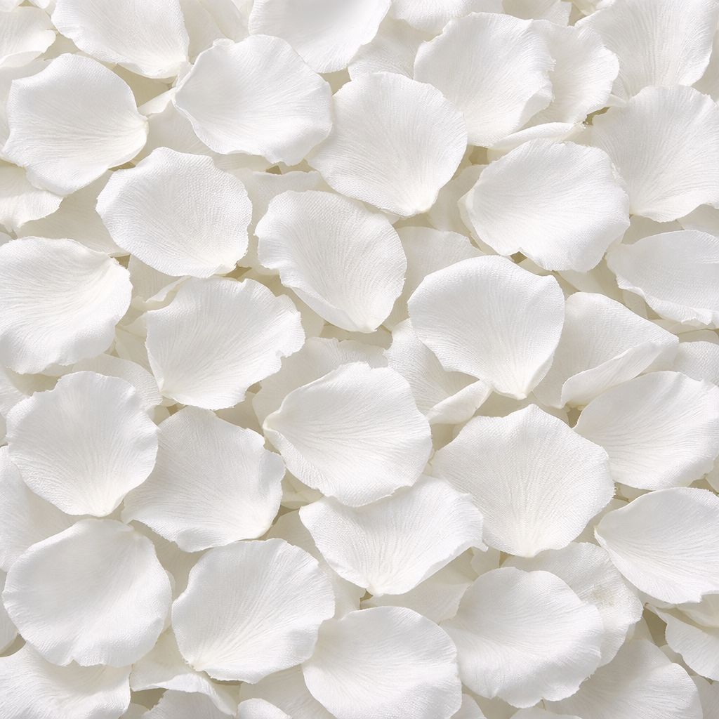 1000-2000 Pétalas de Rosas Artificiais Brancas Decoração Casamento Festas em Oferta na Shopee